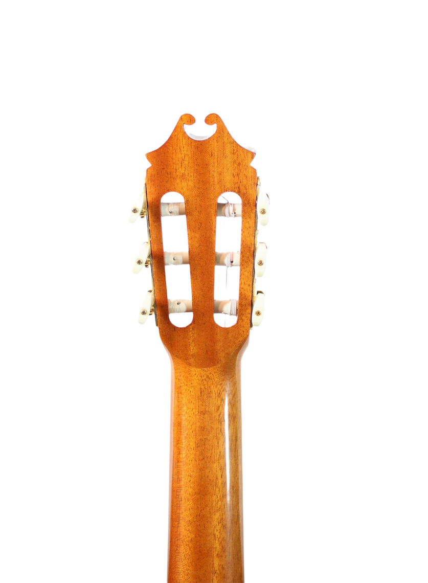 Juan Hernandez Concert Spruce