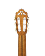 Manuel Adalid 12 Spruce