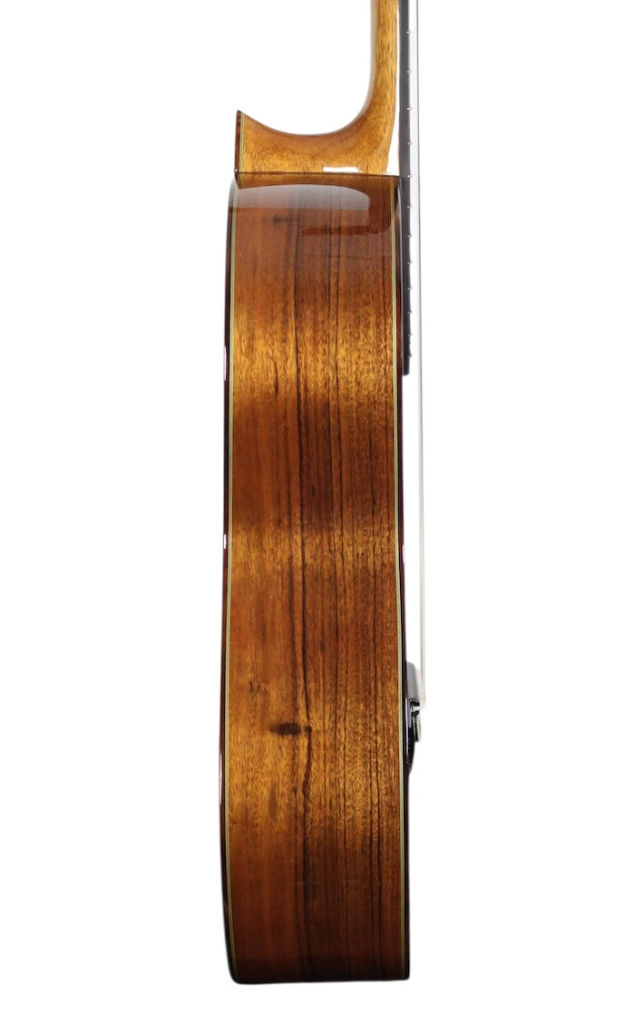 Manuel Adalid 12 Spruce