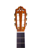 Manuel Adalid 12 Spruce