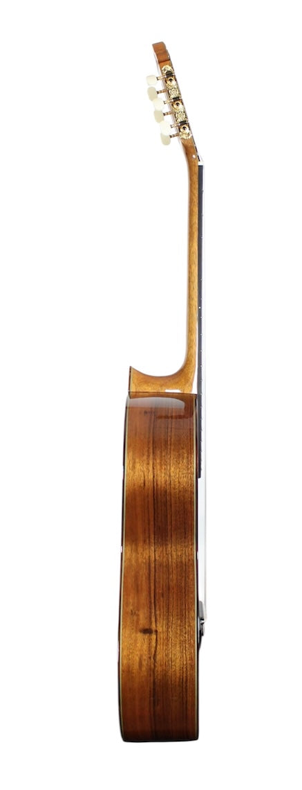 Manuel Adalid 12 Spruce