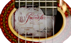Prudencio Saez Cantinga Travel Guitar