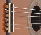 String Tie - Brown Amber