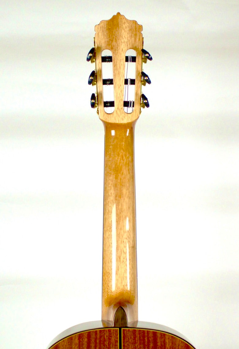 Tenor Fuego 3/4 Cedar guitar