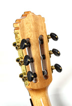 Tenor Fuego 3/4 Cedar guitar