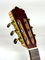 Tenor Fuego 3/4 Cedar guitar