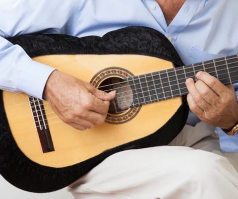 Ultimate Guitar Protector- Sleeve/Cover