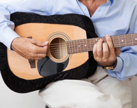Ultimate Guitar Protector- Sleeve/Cover